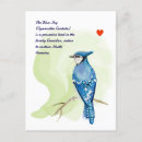 Pesquisar por desenhos originais cartoes postais Aves