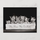 Pesquisar por gatinhos vintage cartoes postais Animal