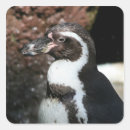Pesquisar por penguin adesivos Pinguim