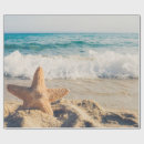 Pesquisar por estrela mar papel de presente Concha