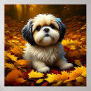 Pesquisar por lhasa apso pôsteres Cachorrinho