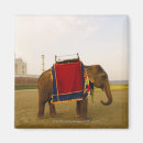 Pesquisar por mahalo imas India