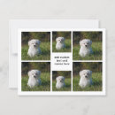 Pesquisar por montagem da folha cartoes postais Colagem de fotos