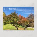 Pesquisar por árvore bonito cartoes postais Céu azul