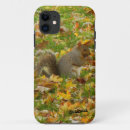 Pesquisar por esquilo iphone capas Natureza