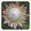 Pesquisar por flores grandes adesivos Floral