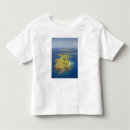 Pesquisar por ilhas fiji camisetas Aqua