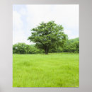 Pesquisar por céu azul pôsteres Planta