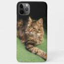 Pesquisar por samsung galaxy s6 capas Foto