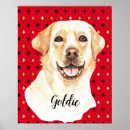 Pesquisar por labrador retriever pôsteres Personalizar