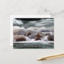 Pesquisar por água viva cartoes postais Rio