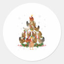 Pesquisar por chicotes adesivos Natal