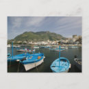 Pesquisar por porte postal dos peixes Praia