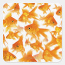 Pesquisar por peixes grandes adesivos Animais