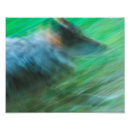 Pesquisar por lobo abstrato pósteres pôsteres Qualquer pessoa