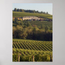 Pesquisar por pinot noir pôsteres Vinícola