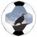 Pesquisar por águia bola futebol Qualquer pessoa