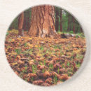 Pesquisar por cone porta copos Botânica