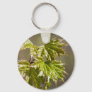 Pesquisar por floral branco verde chaveiros Natureza