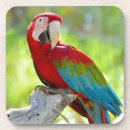 Pesquisar por macaw porta copos Pássaro