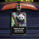 Pesquisar por urso panda bagagem tags Natureza