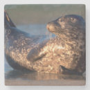 Pesquisar por franquia porta copos Bebê