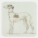 Pesquisar por galgos adesivos Cães