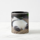 Pesquisar por da panda canecas Panda do bebê