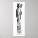 Pesquisar por anatomia humana pôsteres Vintage