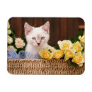 Pesquisar por olhos amarelos imas Gatinho