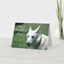 Pesquisar por german shepherd branco cartoes Alemão