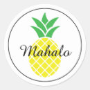 Pesquisar por abacaxi amarelo adesivos Obrigado