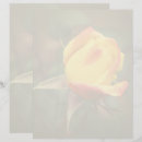 Pesquisar por flores papel timbrado Rosa