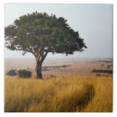 Pesquisar por nacional azulejos Masai mara