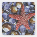 Pesquisar por close up adesivos Colorido