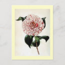 Pesquisar por japonica Vintage