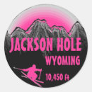 Pesquisar por jaquetas para adesivos Rosa