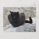 Pesquisar por gatos antigos cartoes postais Qualquer pessoa
