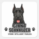 Pesquisar por schnauzer adesivos Amante de schnauzer