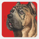 Pesquisar por corsa adesivos Corso