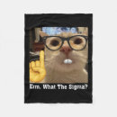 Pesquisar por memes mantas Gato fofo
