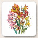 Pesquisar por carnaval porta copos Colheita