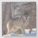 Pesquisar por wolf porta copos Natureza