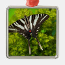 Pesquisar por da borboleta ornamentos Laranja