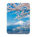 Pesquisar por flor de cerejeira imas Monte fuji