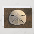 Pesquisar por dólar areia convites Rsvp