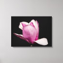 Pesquisar por bloom impressão de canvas Floral