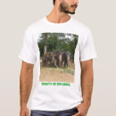 Pesquisar por sri lanka roupas Elefante