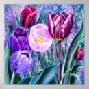 Pesquisar por tulipas roxas pósteres pôsteres For her