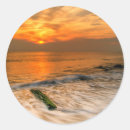 Pesquisar por cape may adesivos Praia